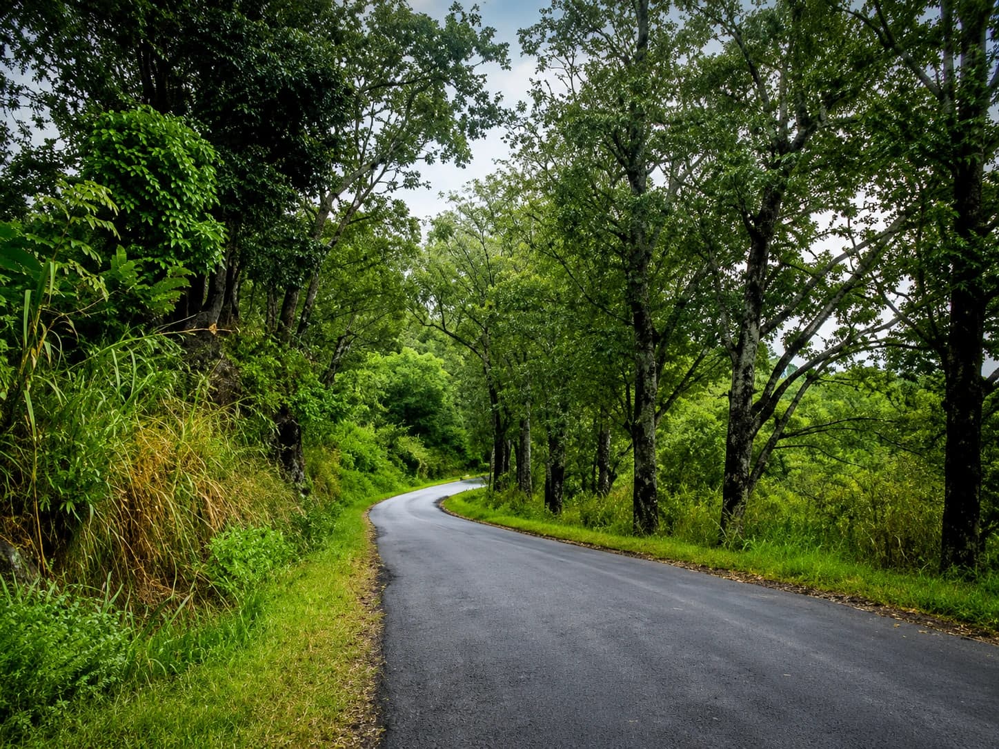 Brookside Ragala Road Junction: Old Ceylon Hill Route